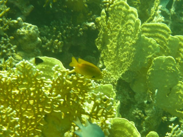 p1020955.jpg