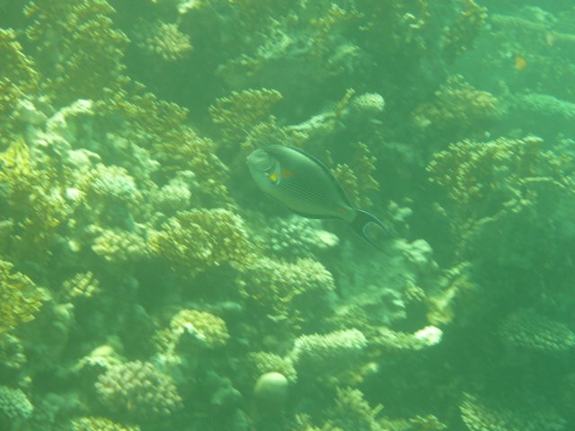 p1020957.jpg