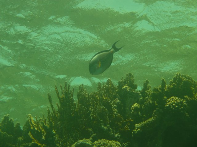 p1020959.jpg