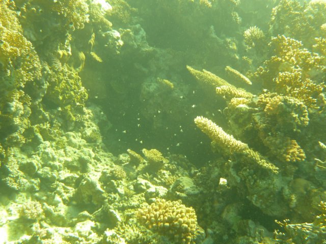 p1020965.jpg