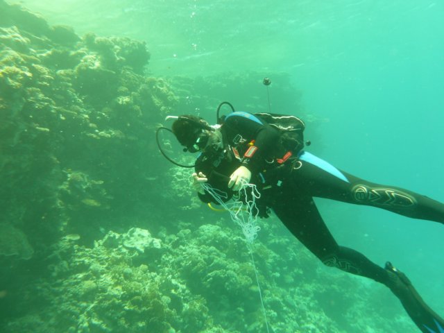 p1020970.jpg