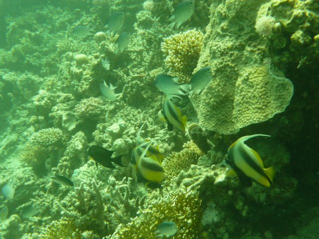 p1020979.jpg