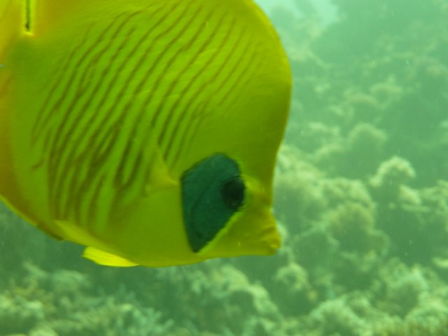 p1020991.jpg