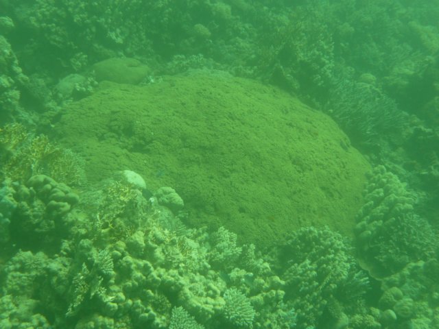 p1020995.jpg