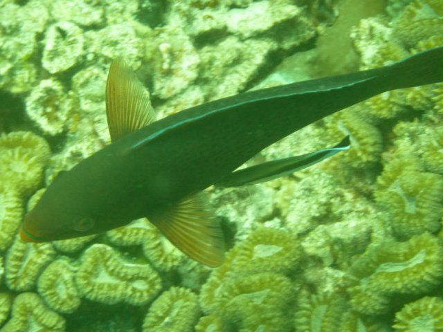 p1030004.jpg