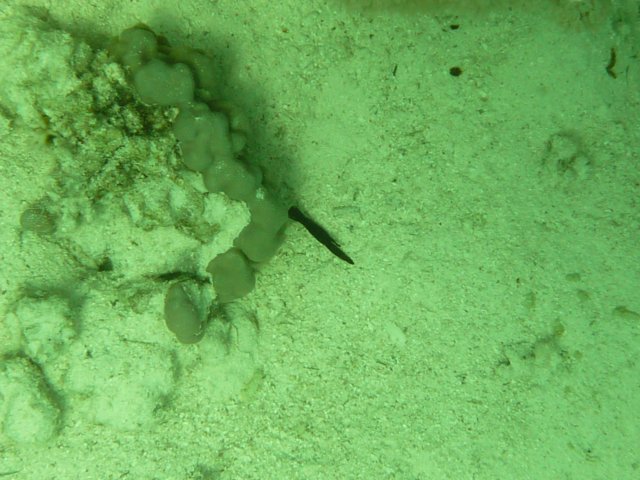 p1030021.jpg