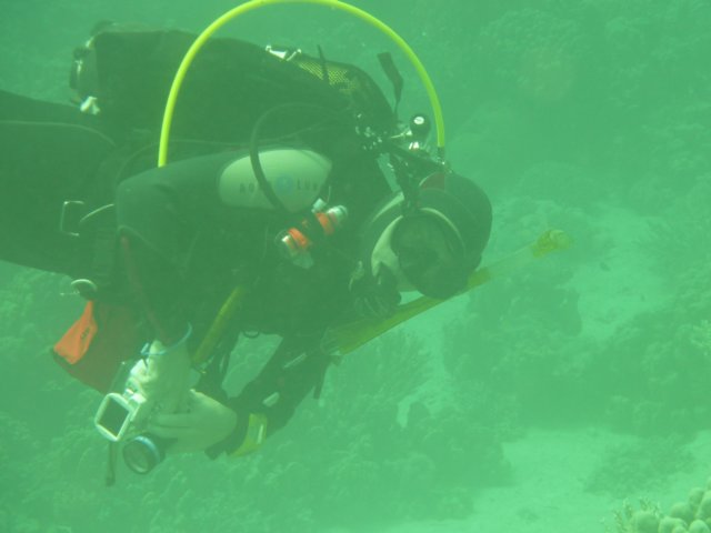 p1030030.jpg