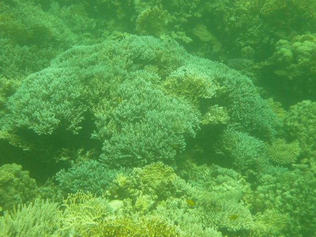 p1030034.jpg