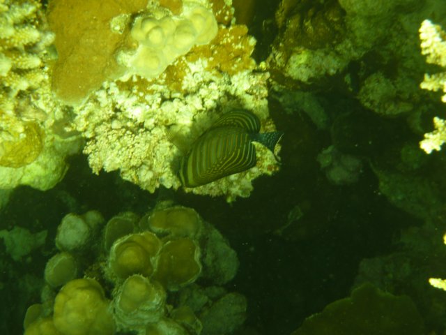 p1030040.jpg
