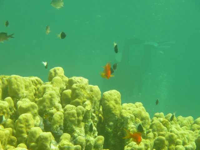 p1030044.jpg