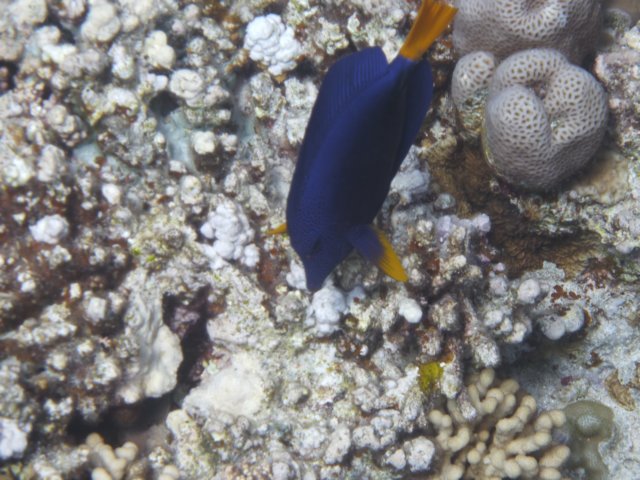 p1030051.jpg