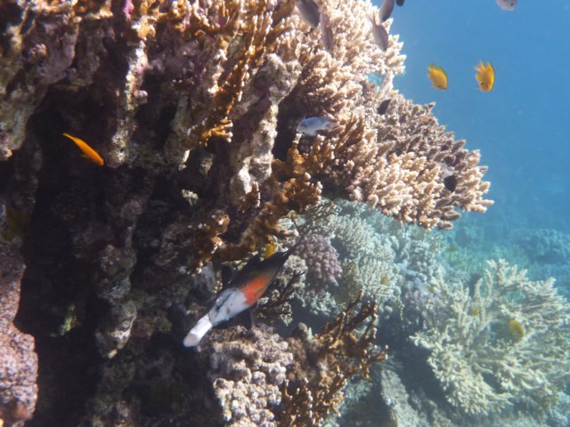 p1030055.jpg