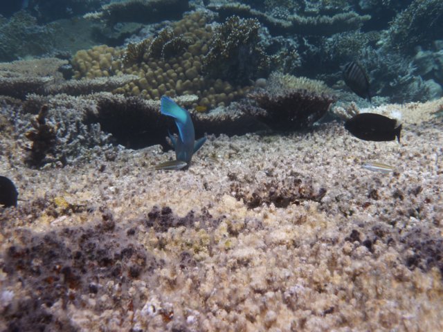 p1030057.jpg