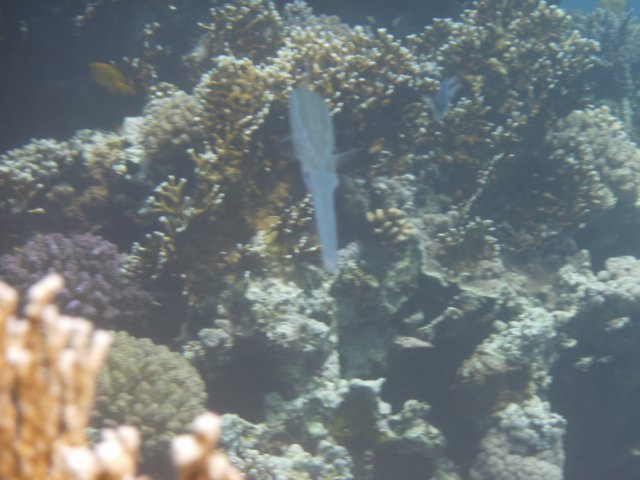 p1030059.jpg