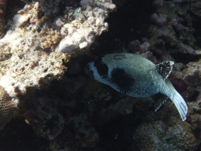 p1030067.jpg