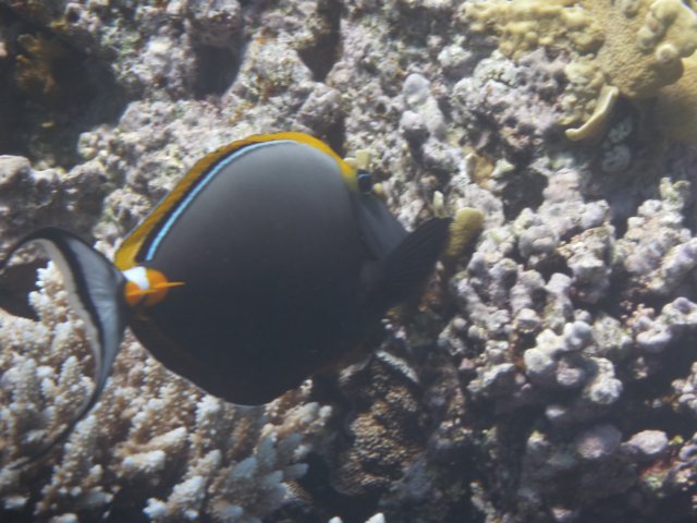 p1030076.jpg