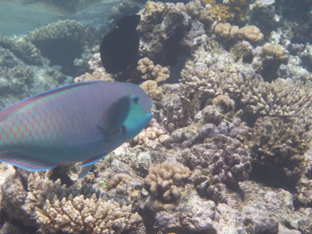 p1030080.jpg