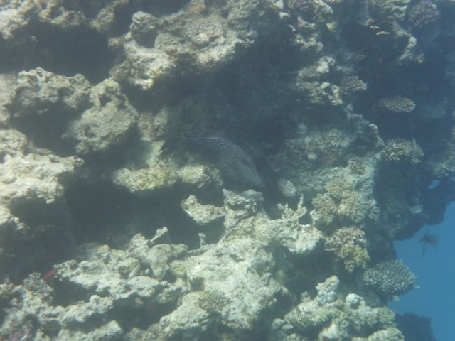 p1030100.jpg