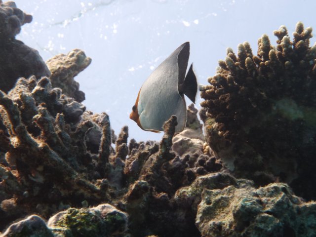 p1030105.jpg