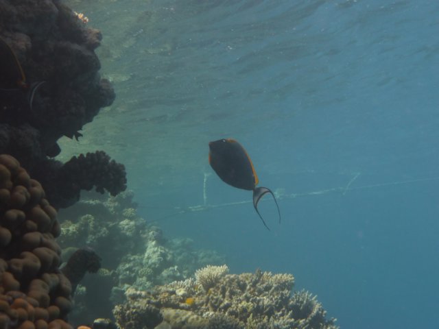 p1030112.jpg