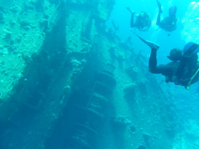 p1030145.jpg