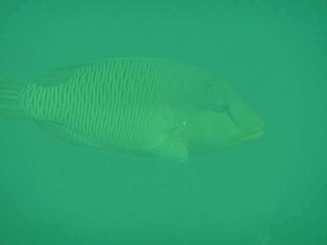p1030343.jpg