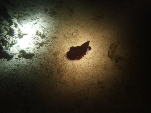 p1030365.jpg