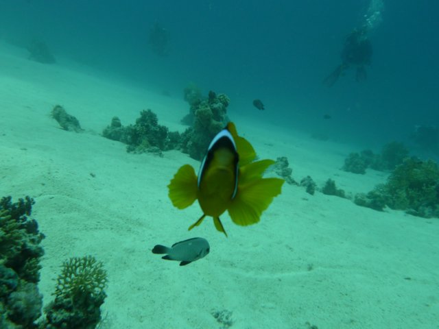 p1030411.jpg