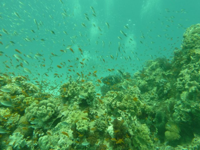 p1030417.jpg