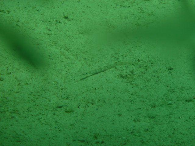 p1030427.jpg