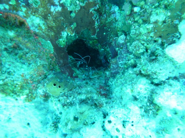 p1030435.jpg