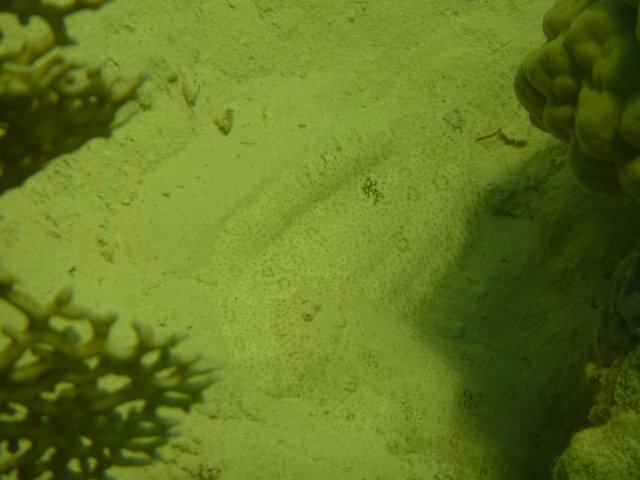 p1030463.jpg