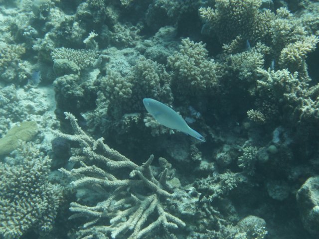 p1030484.jpg