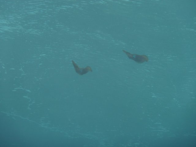 p1030490.jpg