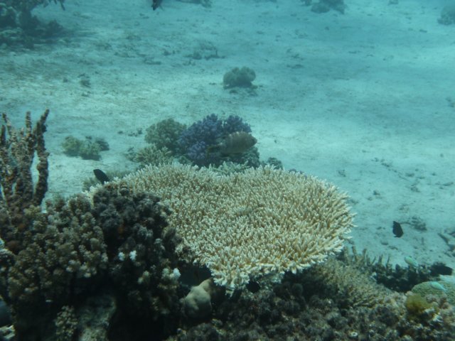 p1030497.jpg