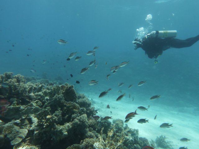 p1030499.jpg