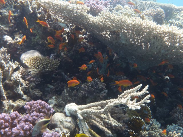 p1030510.jpg