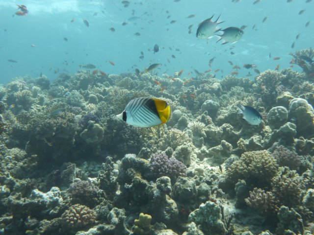 p1030514.jpg
