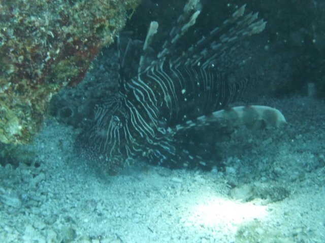 p1030531.jpg