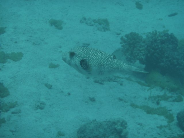 p1030535.jpg