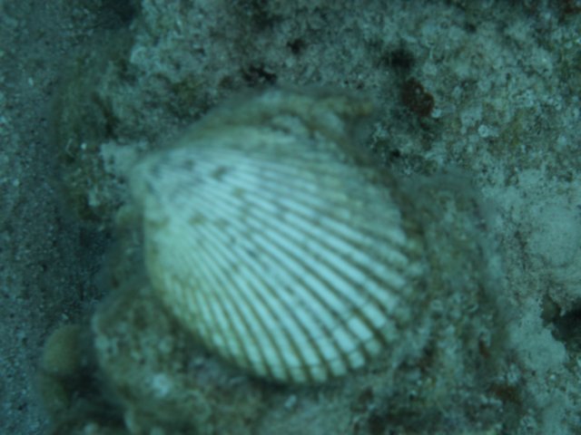 p1030552.jpg