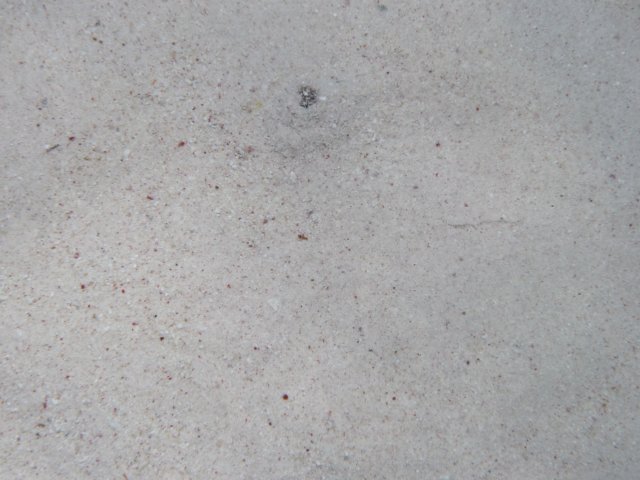 p1030562.jpg