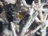 p1030571_small.jpg