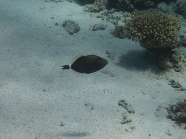 p1030581.jpg