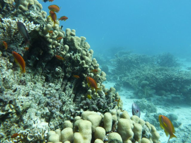 p1030645.jpg