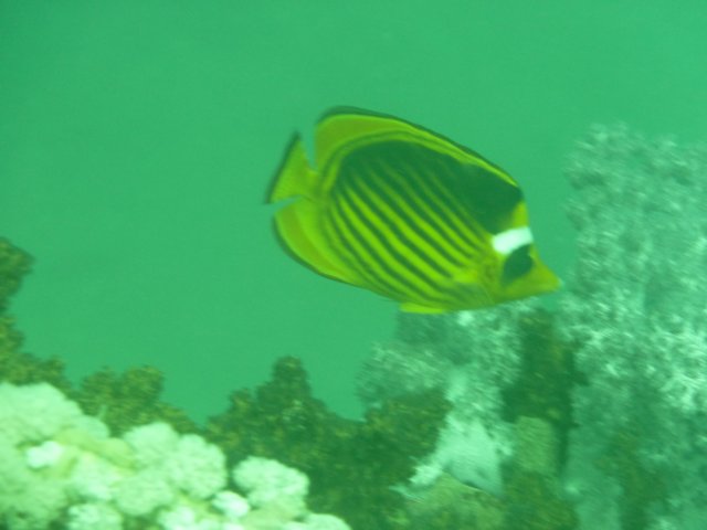 p1030687.jpg
