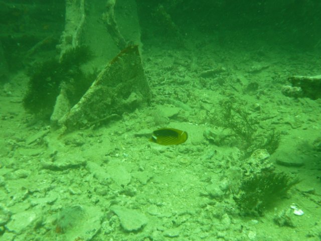 p1030736.jpg