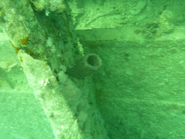 p1030737.jpg