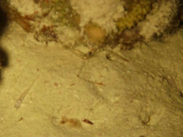 p1030775.jpg