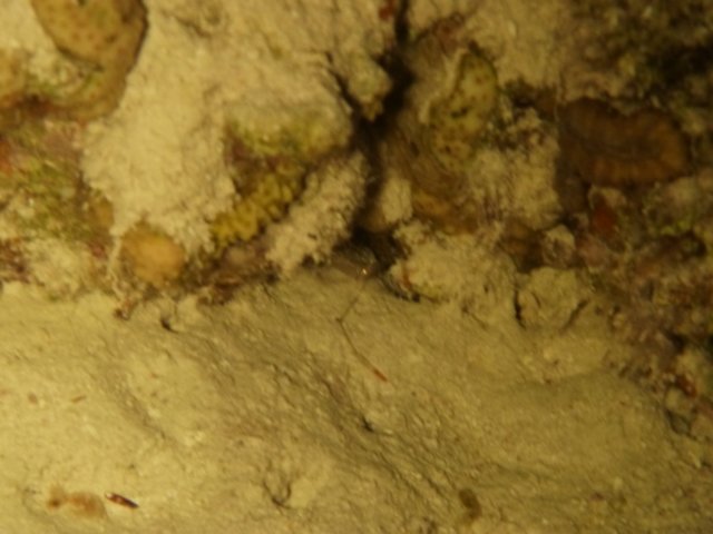p1030776.jpg